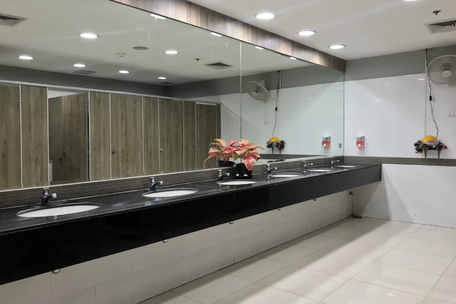 Mirrors, Sinks, and Toilets